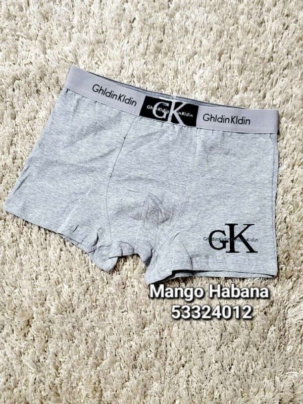 CALZONCILLO gris ckk7