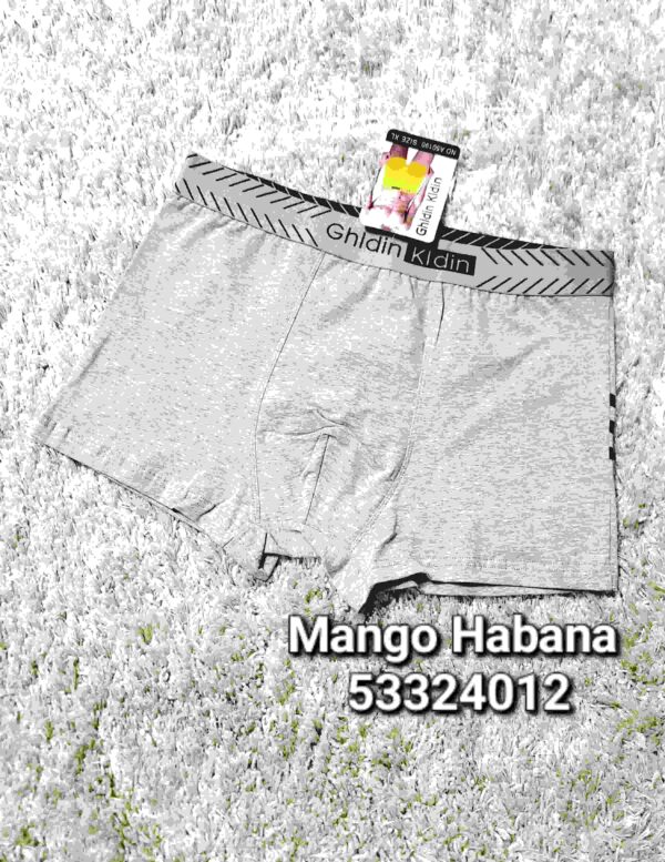 CALZONCILLO GRIS CKK16