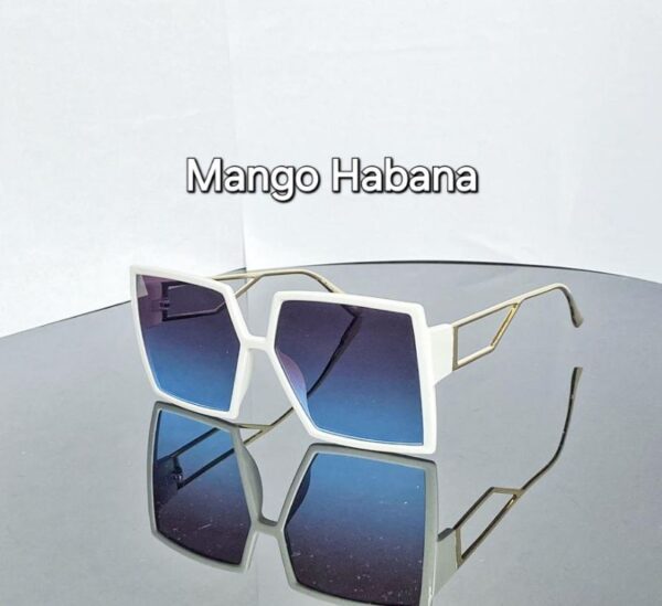 GAFAS GAF34