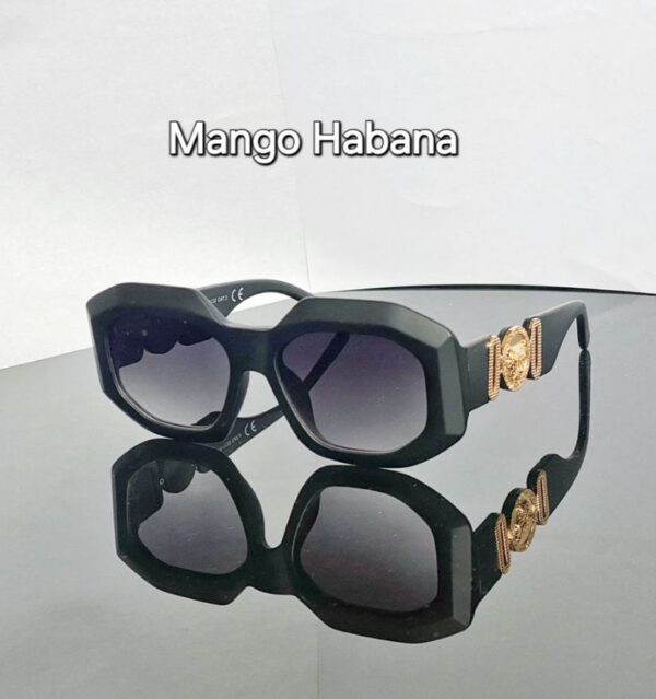 GAFAS GAF19