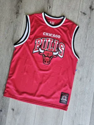 CAMISETA CHICAGO BULLS CMST108